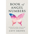 Book of Angel Numbers: Understand Their Meanings, Interpret the Signs, and Learn How to Follow Your Guidance - Paperback | Books | Wiccan Center
