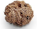 Jericho Flowers - 1 Pack | Herbs | Wiccan Center