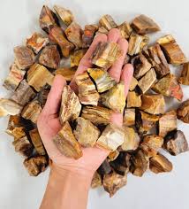 Petrified Wood Rough Chunk | Rough Gemstone | Wiccan Center