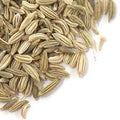 Fennel Seeds (1 oz) | Herbs | Wiccan Center