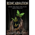 Reincarnation: Afterlife: Life After Death - What Happens When You Die? Rebirth or Game Over? - Paperback | Books | Wiccan Center