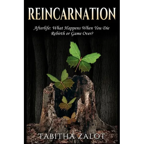 Reincarnation: Afterlife: Life After Death - What Happens When You Die? Rebirth or Game Over? - Paperback | Books | Wiccan Center