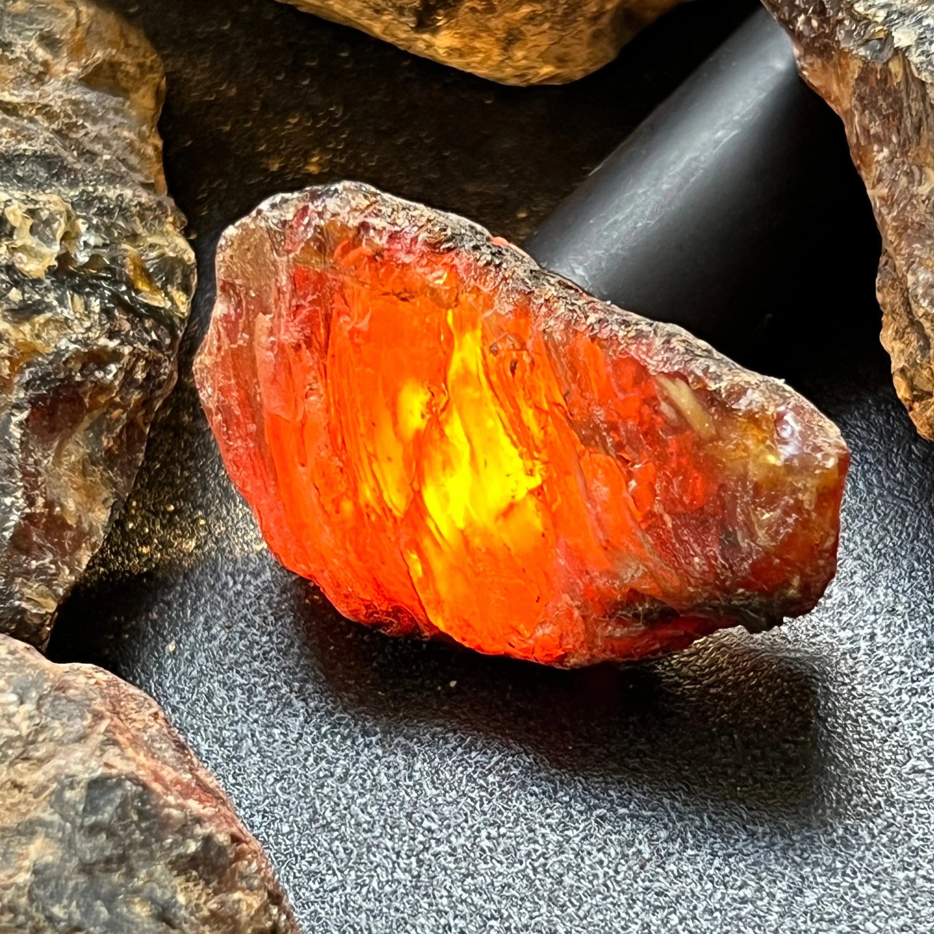 Black Amber Fossilized Tree Resin Mixed Sizes Rough Raw Stones (By The Piece or Pound)(UV Reactive) Wholesale | Home & Living > Home Decor > Home Accents > Rocks & Geodes | Wiccan Center