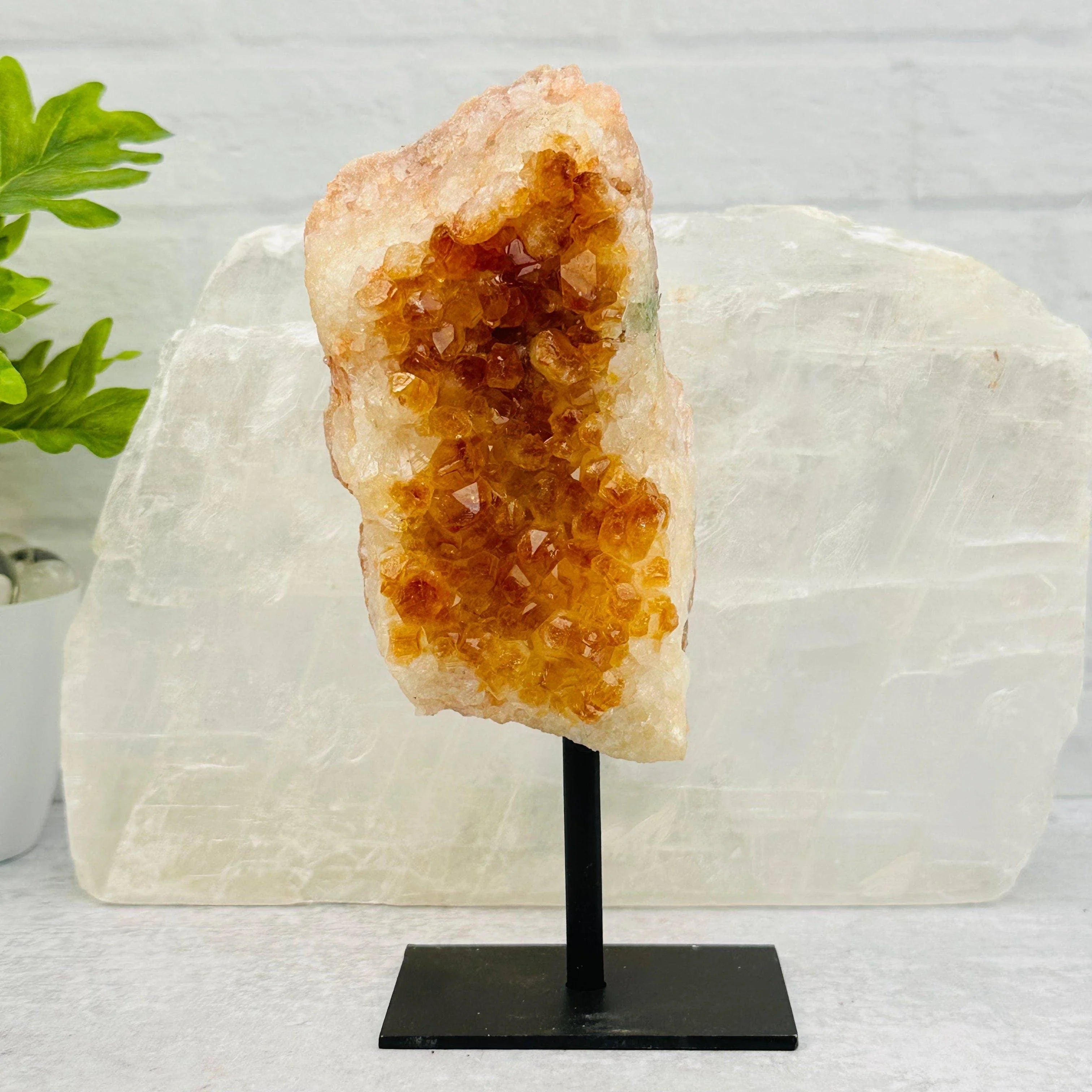 Citrine Cluster on Metal Stand