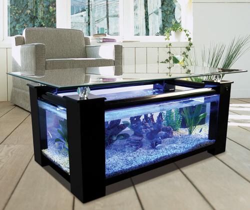 WARRANTY INCLUDED! 45 gallon GLASS rectangle table aquarium fish tank full setup | Pet Supplies > Fish & Aquariums > Aquariums & Tanks | Wiccan Center