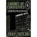 Cabinet of Curiosities 4: 20 Keys for Haunted Hotel Rooms - Paperback | Books | Wiccan Center