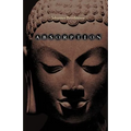 Absorption. Human Nature and Buddhist Liberation - Paperback | Books | Wiccan Center