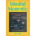 Mindful Moments: A Pandemic Memoir of Positivity and Gratitude - Paperback