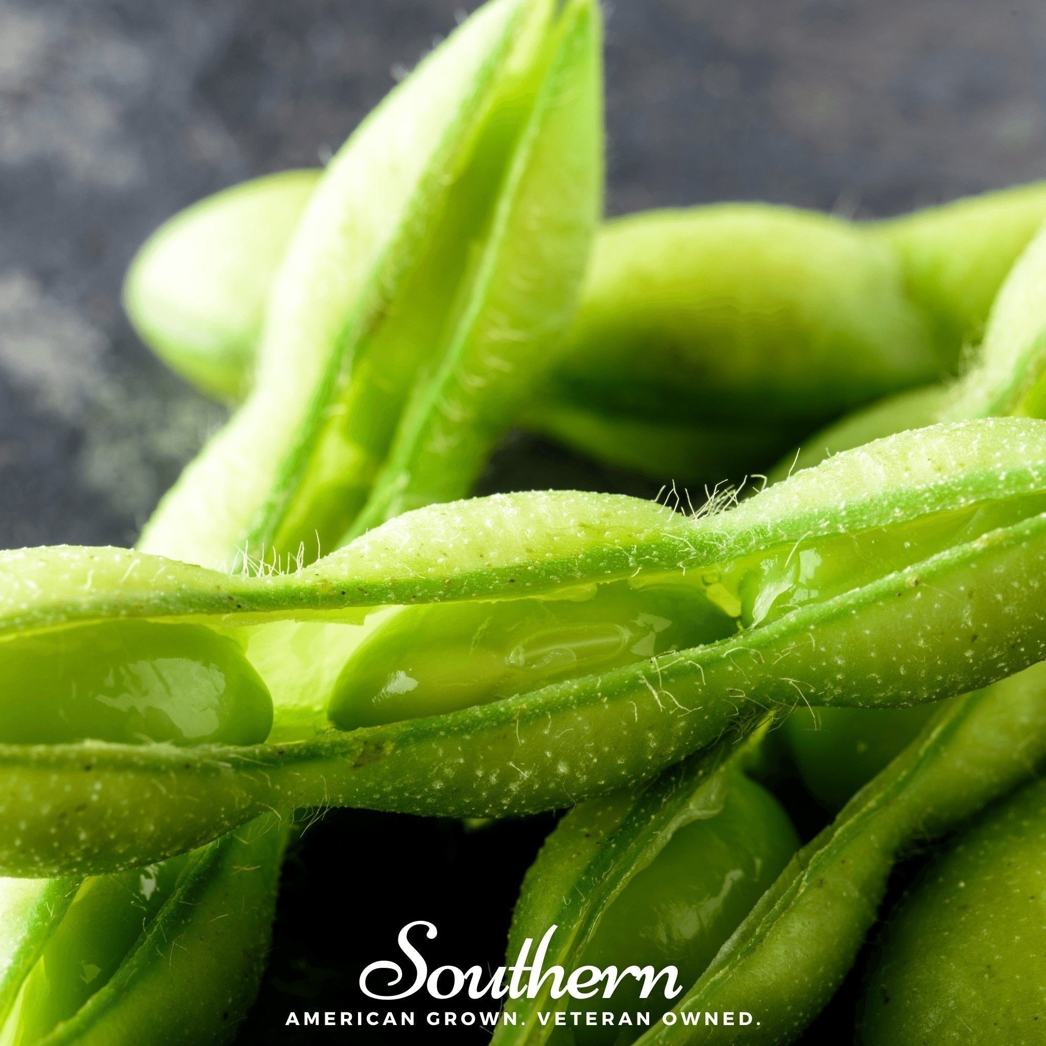 Be Sweet Edamame Soybean (Bush) – 20 Seeds | | Wiccan Center