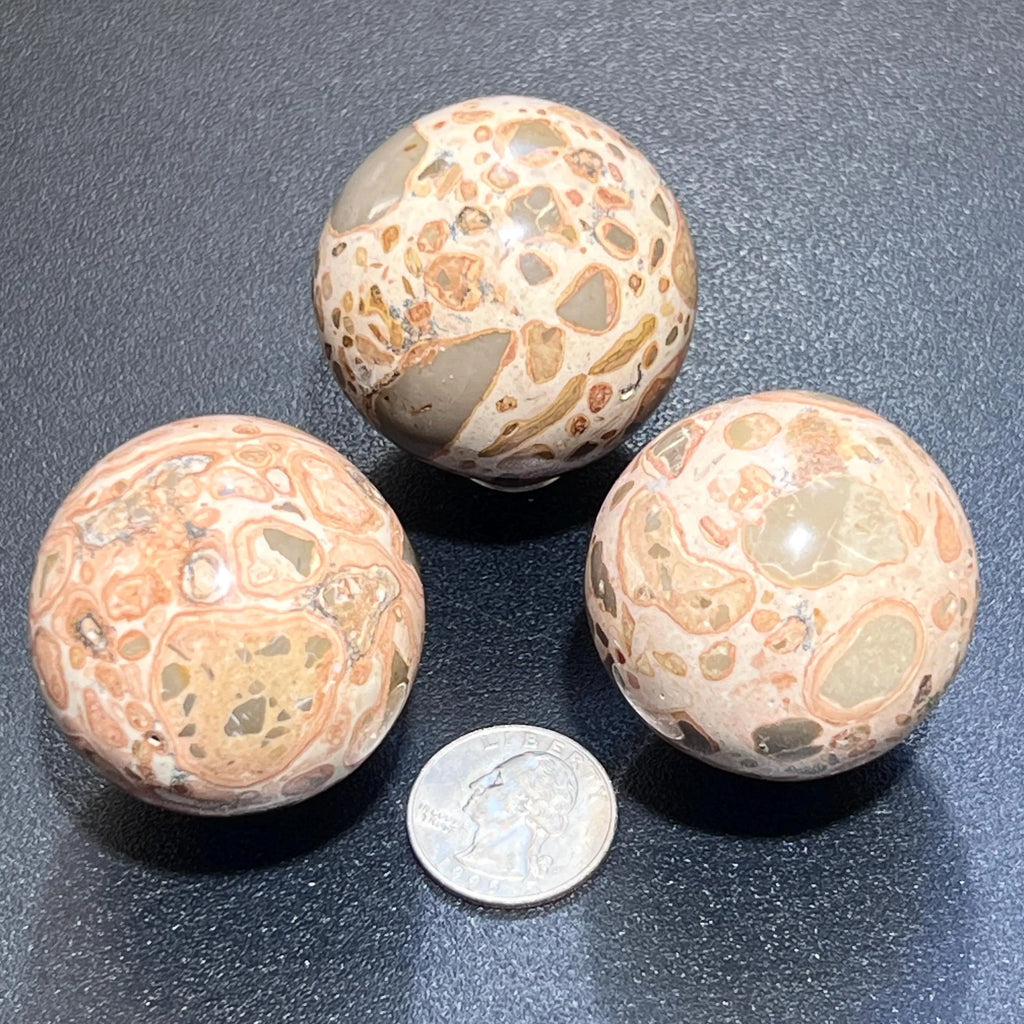Leopardite Sphere (4 CM)(Leopard Skin Jasper) Bulk Wholesale Lot Polished Gemstone Decor Carving | Home & Living > Home Decor > Home Accents > Rocks & Geodes | Wiccan Center
