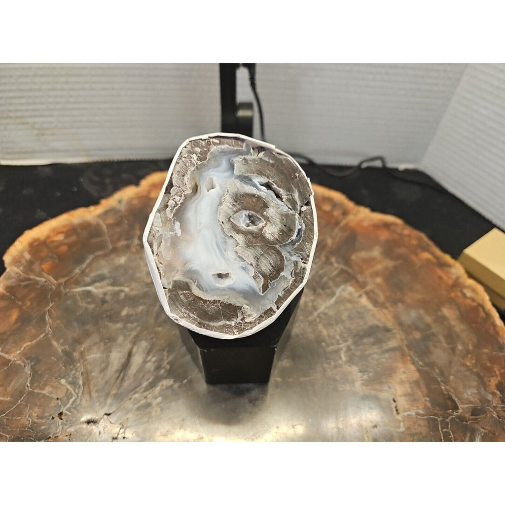Polish Geode Specimen — 273g, Natural Display Crystal | CrystalCloud Company | Geodes & Clusters | Wiccan Center