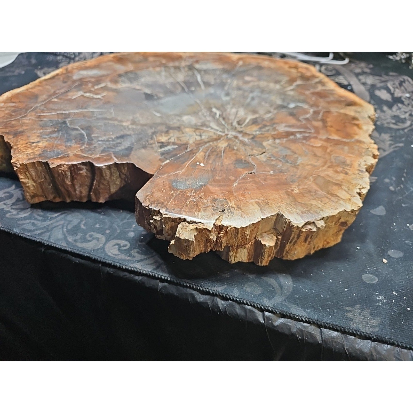 27.3 lb Fossil Wood Quartz Hedgehog Sculpture — Artisan Mineral Statement Piece | CrystalCloud Company