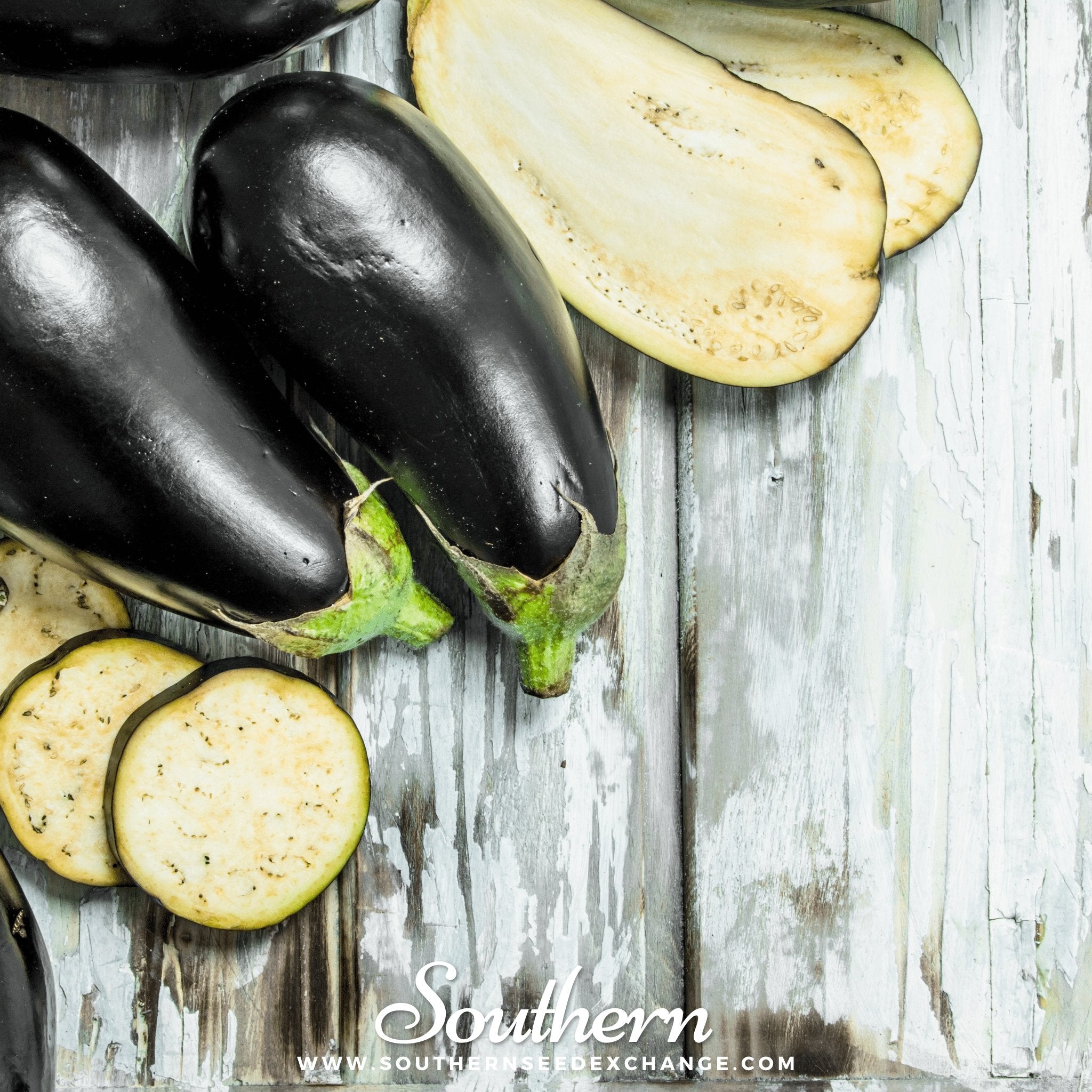 Black Beauty Eggplant – 50 Seeds | | Wiccan Center
