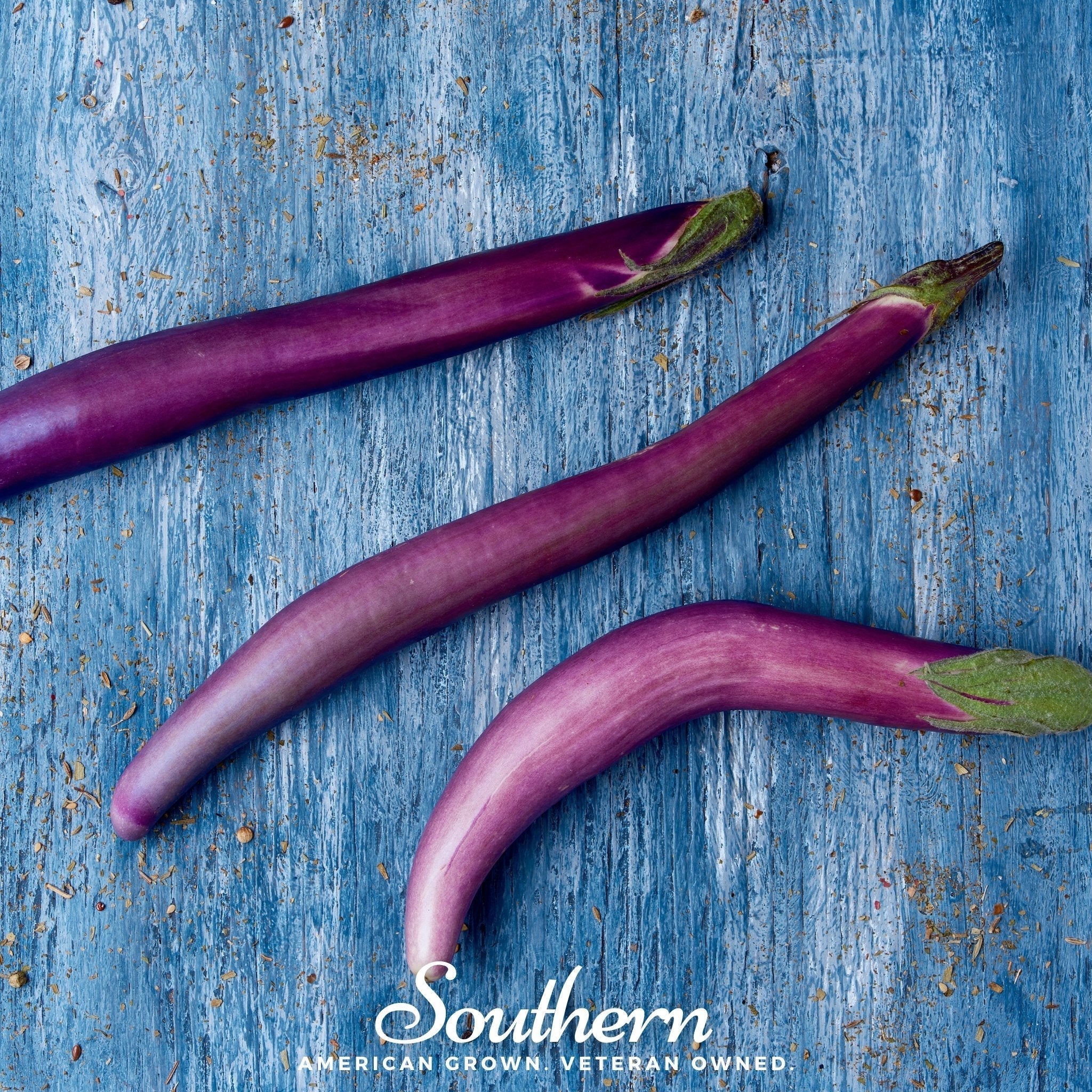 Long Purple Eggplant – 50 Seeds | | Wiccan Center