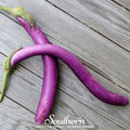 Long Purple Eggplant – 50 Seeds | | Wiccan Center