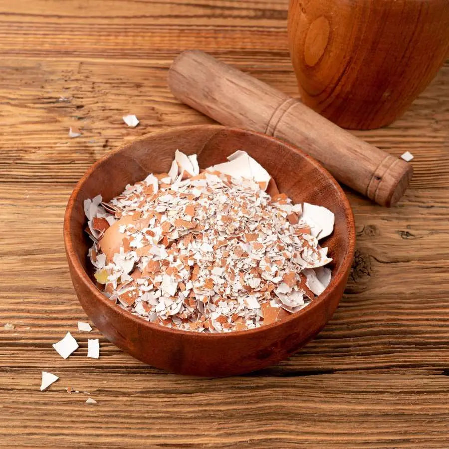 Herb Garden - Cascarilla Eggshell Powder 1oz | Herbs | Wiccan Center