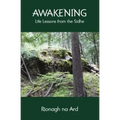 Awakening: Life Lessons from the Sidhe - Paperback | Books | Wiccan Center