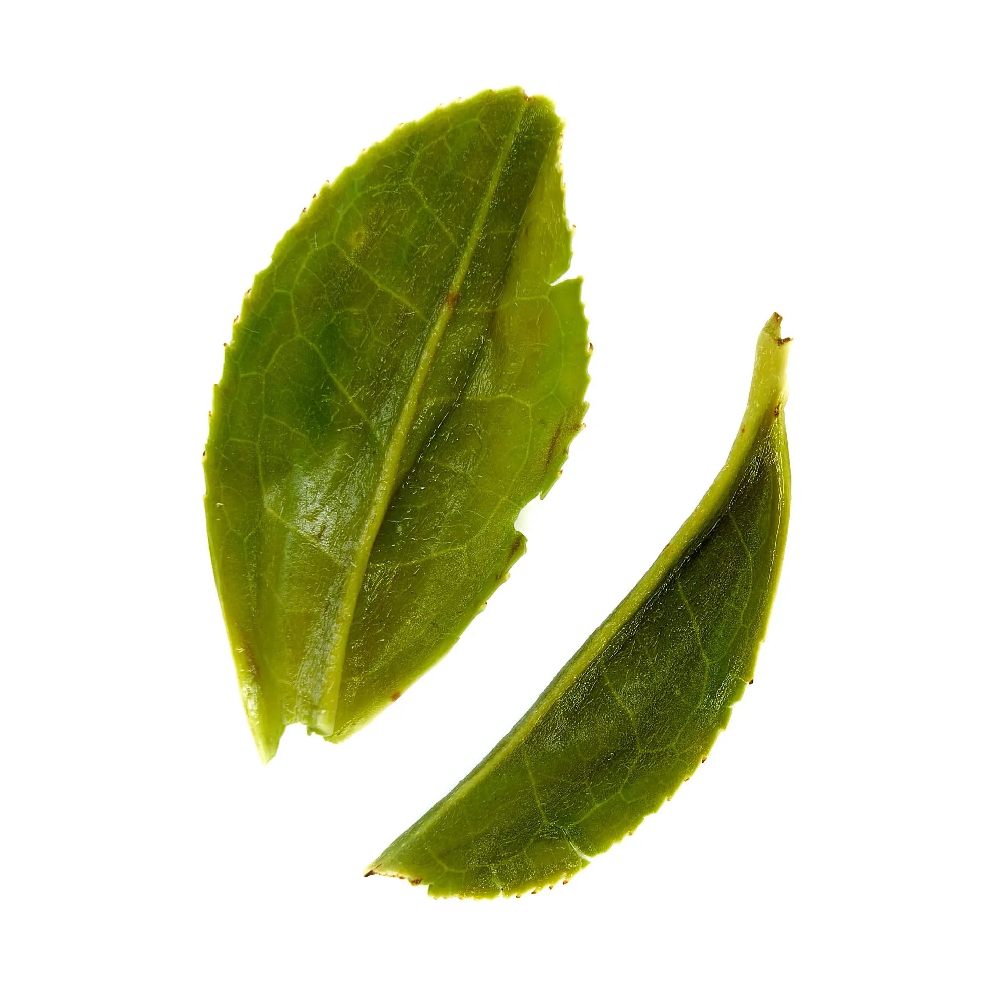 Rare Leaves Emerald - Single Estate Pi Lo Chun Green Tea | Beverages > Teas > Green Teas | Wiccan Center