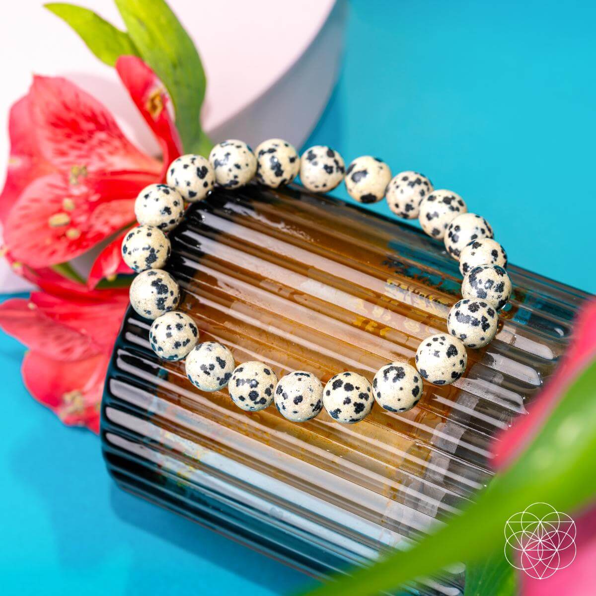 Emotional Detox - Dalmatian Jasper Bracelet | Bracelet | Wiccan Center