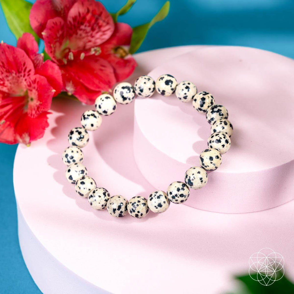 Emotional Detox - Dalmatian Jasper Bracelet | Bracelet | Wiccan Center