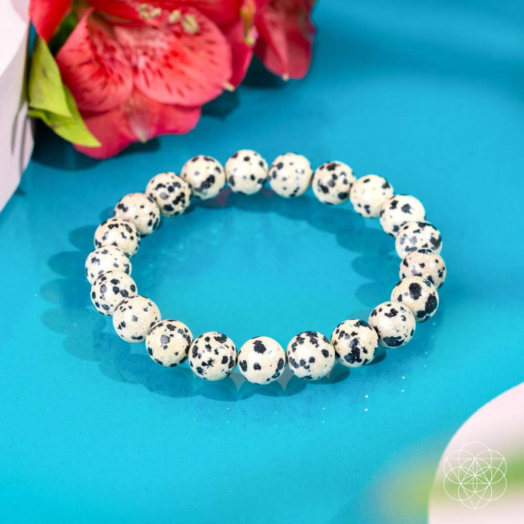 Emotional Detox - Dalmatian Jasper Bracelet | Bracelet | Wiccan Center