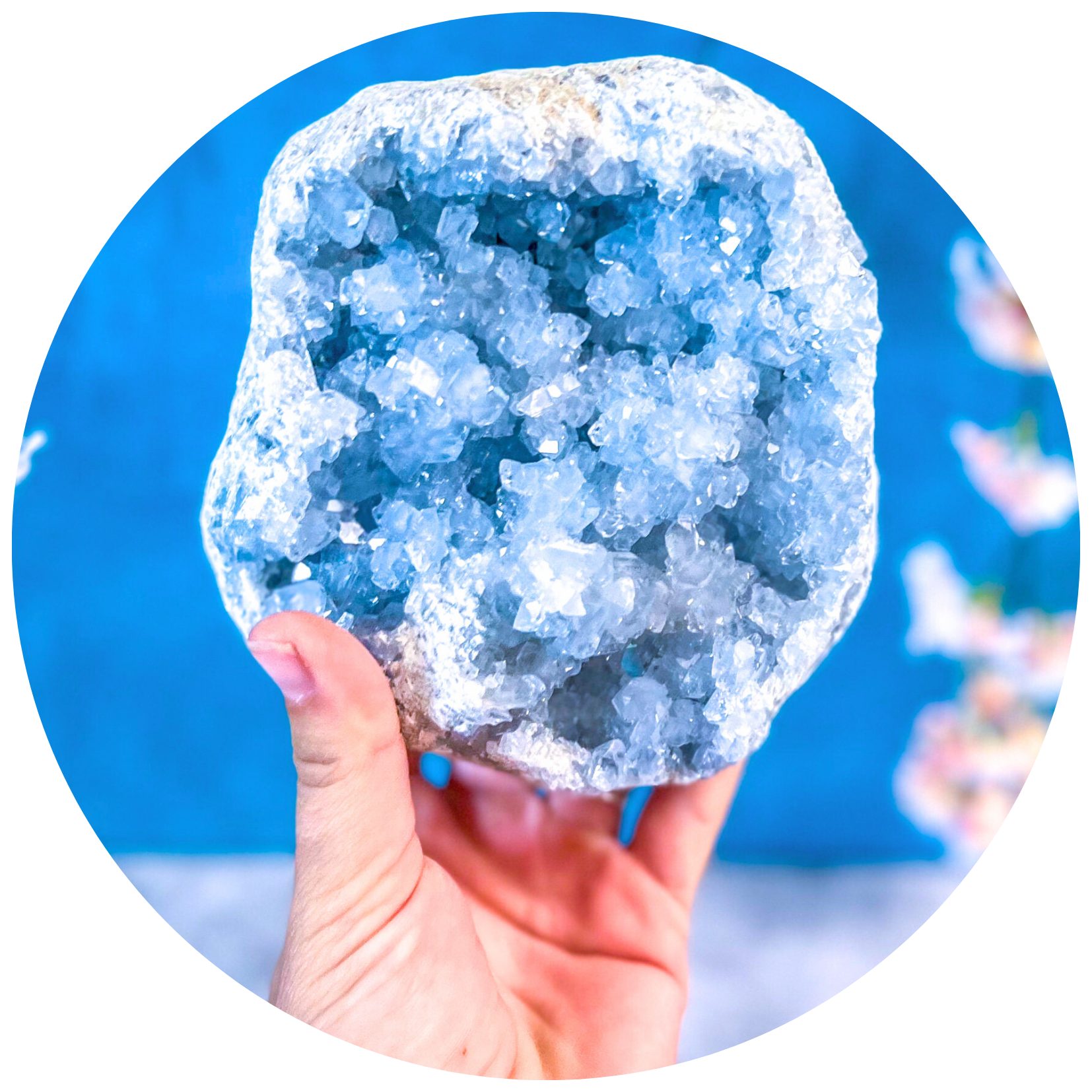 Ethically Sourced Raw CELESTITE Geodes 3 - 5 1/2 lbs!