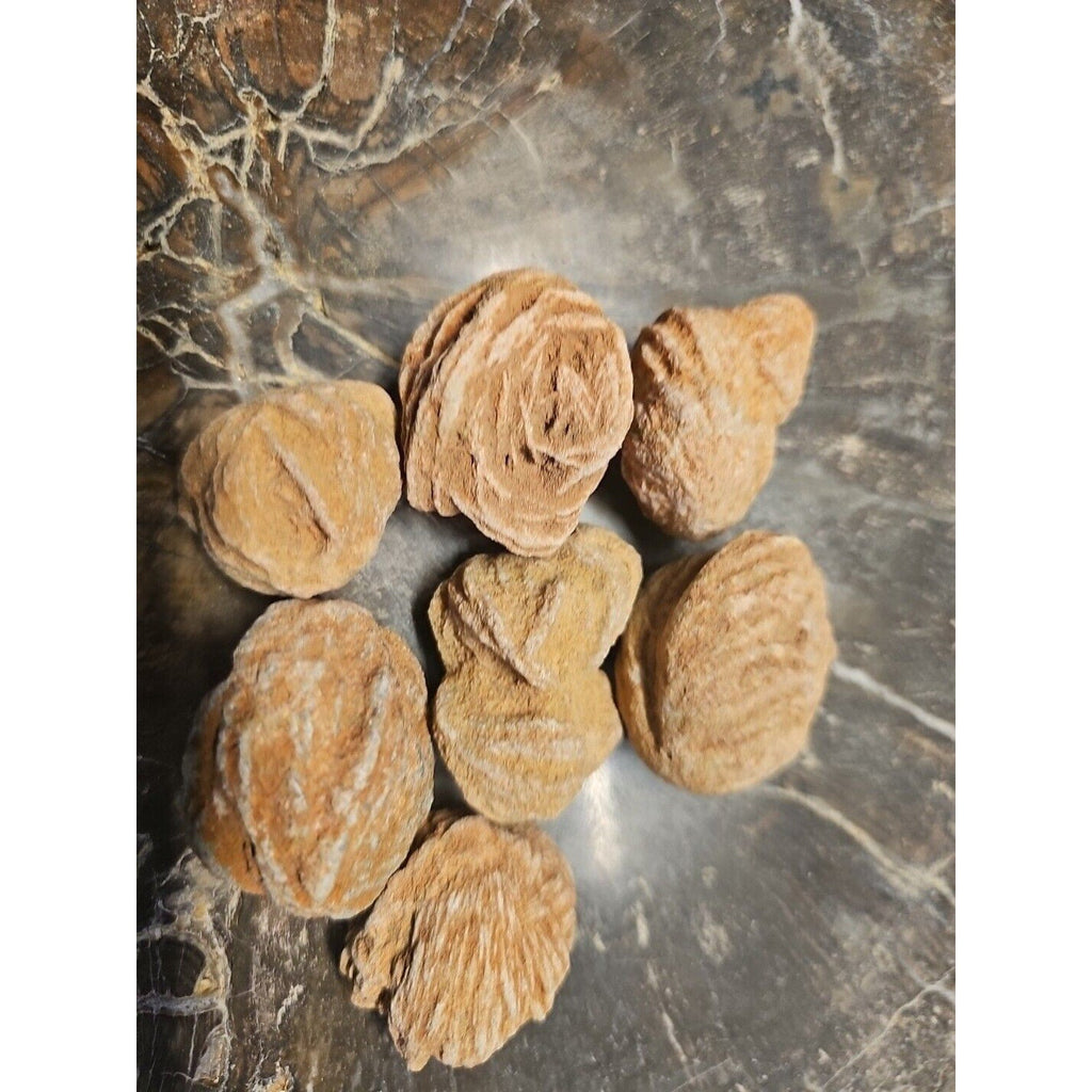 Desert Rose Selenite Mineral Specimen — Clarity & Stress Relief Crystal | CrystalCloud Company
