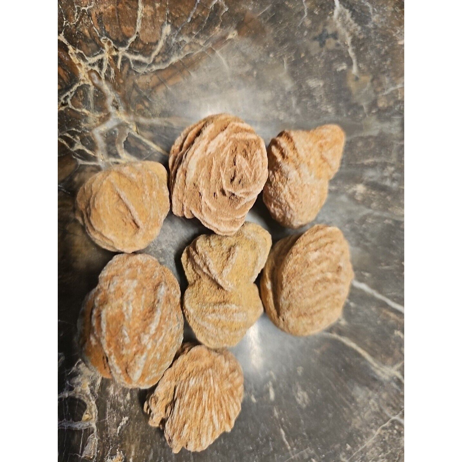 Desert Rose Selenite Mineral Specimen — Clarity & Stress Relief Crystal | CrystalCloud Company