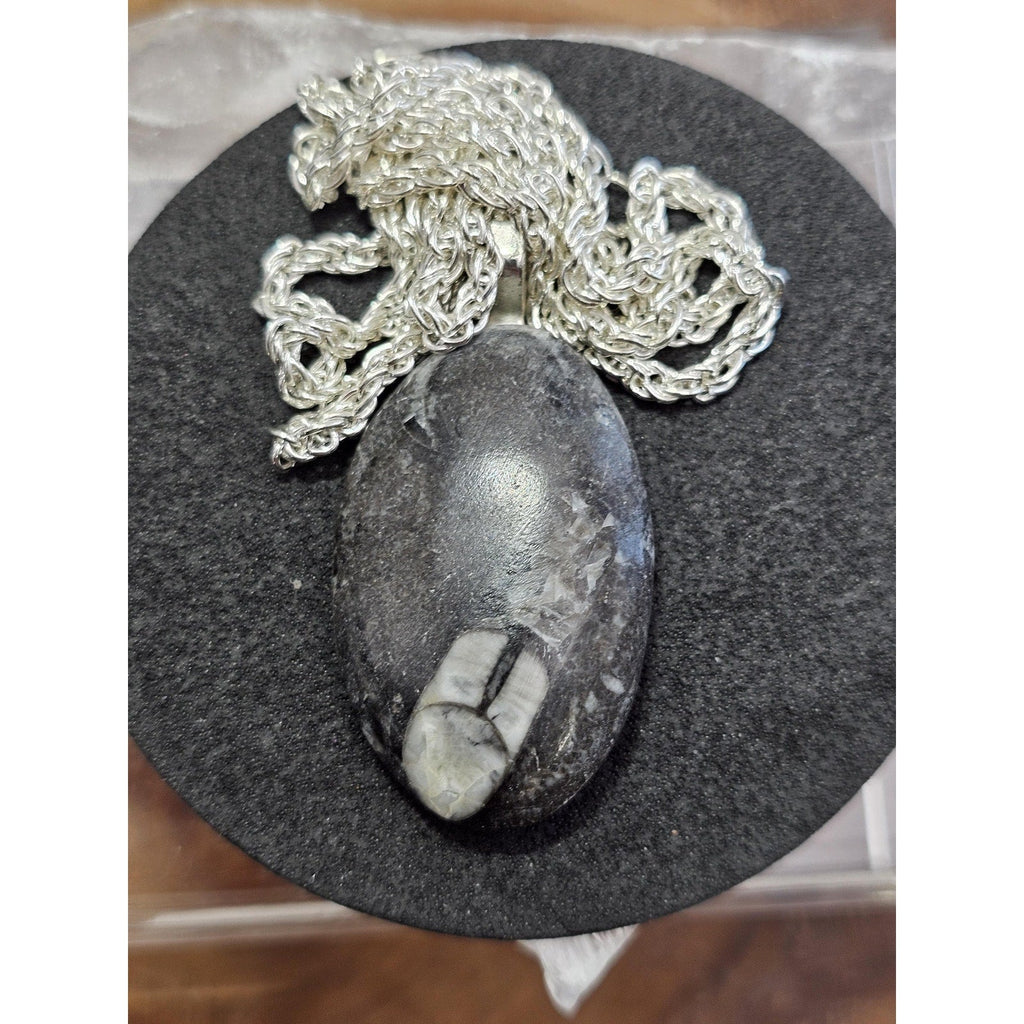 Orthoceras fossil pendant w/925 silver