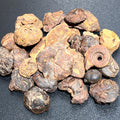 Ammonite Fossils Mixed Quality (By The Ounce Or Pound) Spiral Ammonoids Wholesale | Home & Living > Home Decor > Home Accents > Rocks & Geodes | Wiccan Center