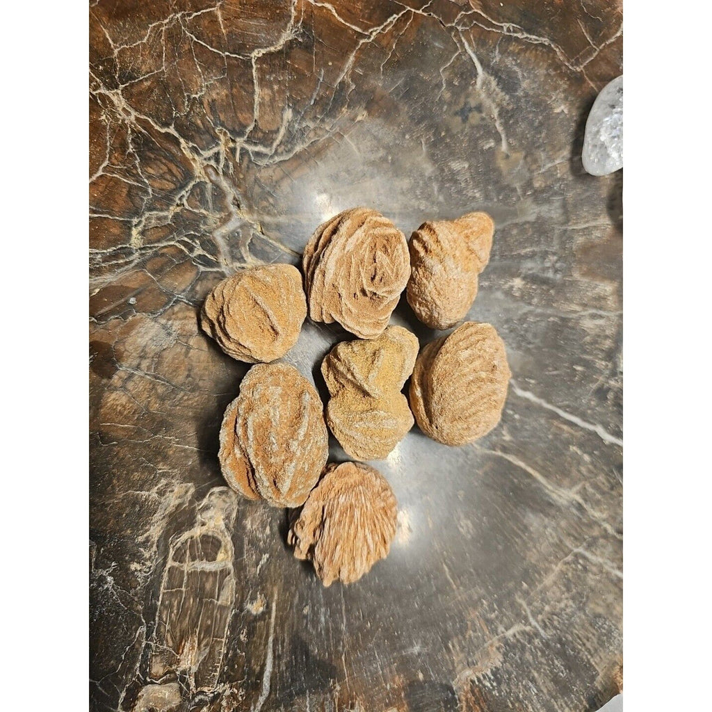 Desert Rose Selenite Mineral Specimen — Clarity & Stress Relief Crystal | CrystalCloud Company