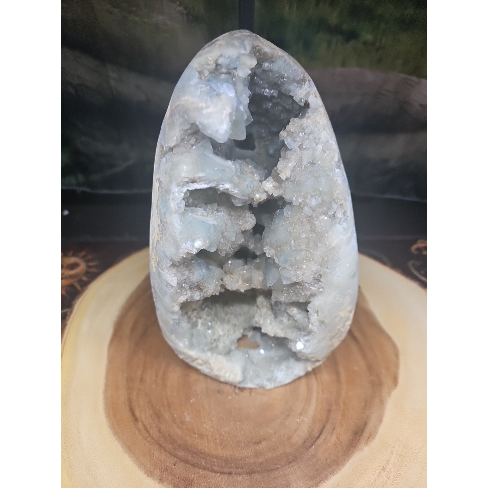 Large Baby Blue Celestite Geode Cluster — 13.6 lbs, 8 inches, Brazil | CrystalCloud Company | Geodes & Clusters | Wiccan Center