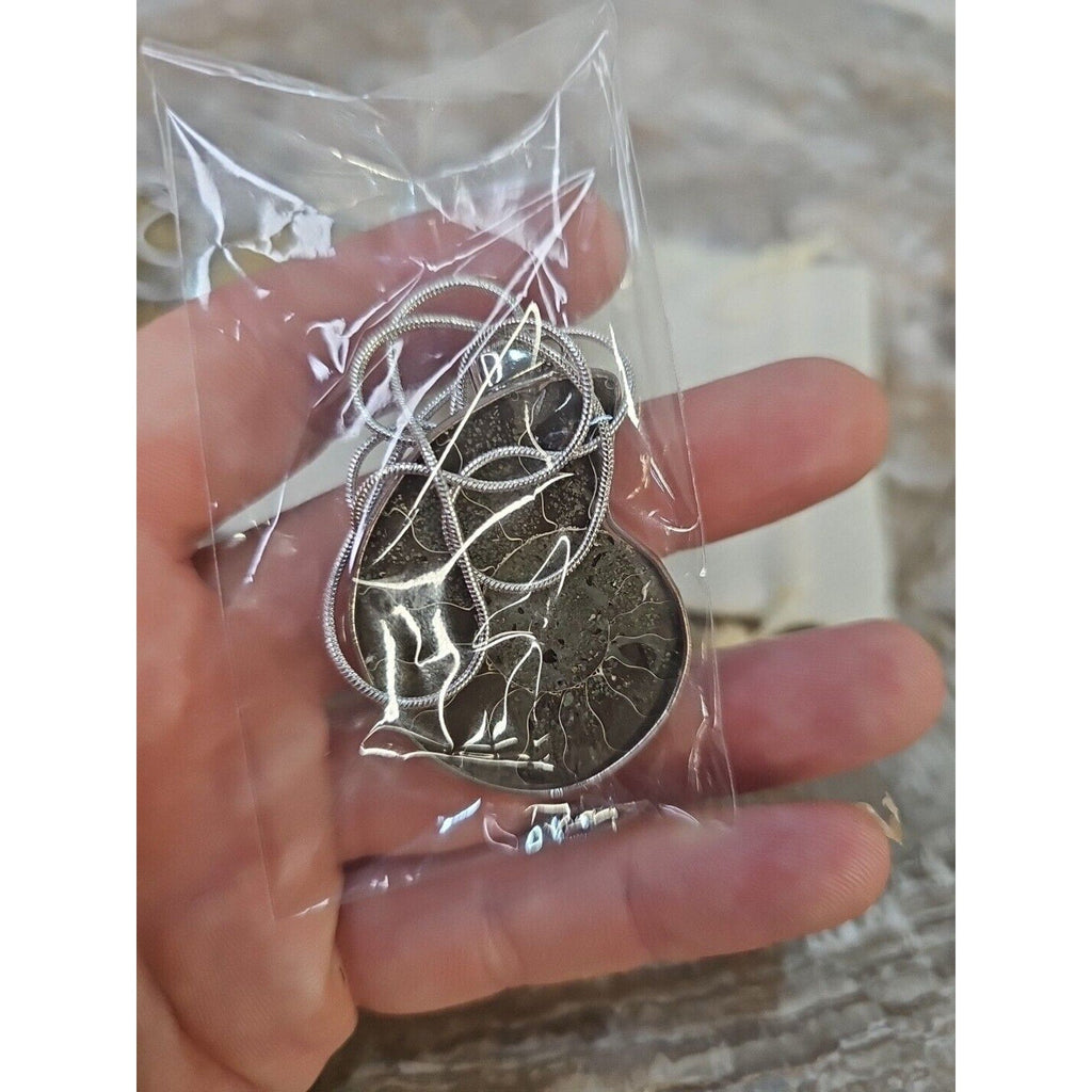 Ammonite Fossil Pendant Necklace — Handmade with 18-inch Silver Chain | CrystalCloud Company