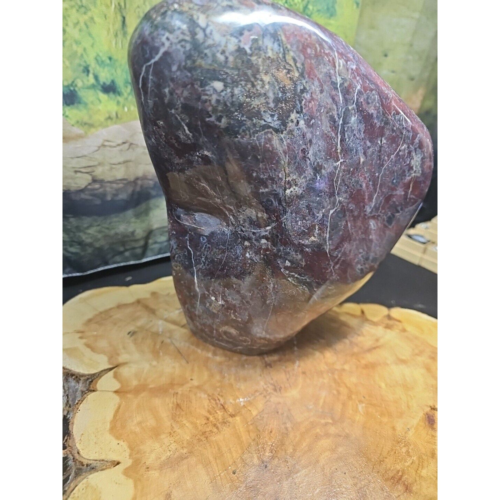 Chicken Blood Stone Quartz Crystal Mineral Specimen — 16.6 lbs, Vitality & Energy Stone | CrystalCloud Company