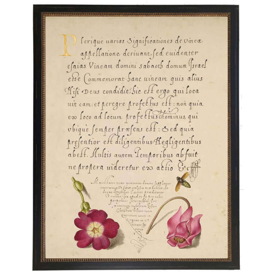 Flowers and Calligraphy 1500s Bookplate Reproduction Print in Black Beaded Frame | Art | Wiccan Center