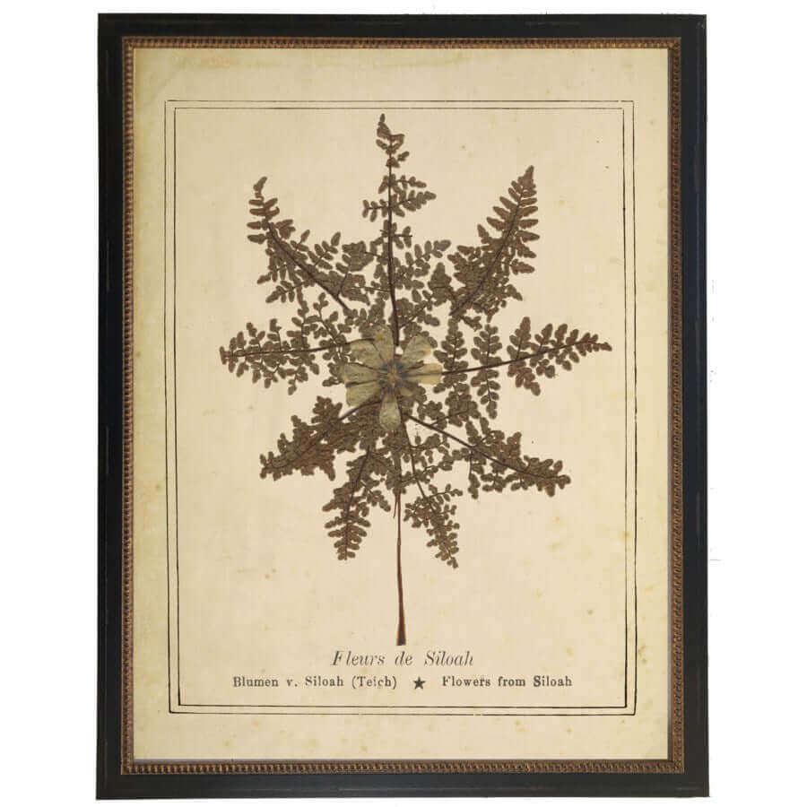 Flowers from Siloah Victorian Vintage Bookplate Print in Black Beaded Frame | Art | Wiccan Center