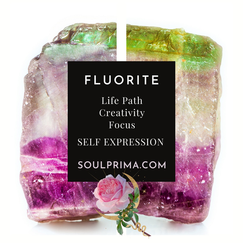 Yellow Fluorite Dragon for Creativity 3", Crystal Dragon Head Skull