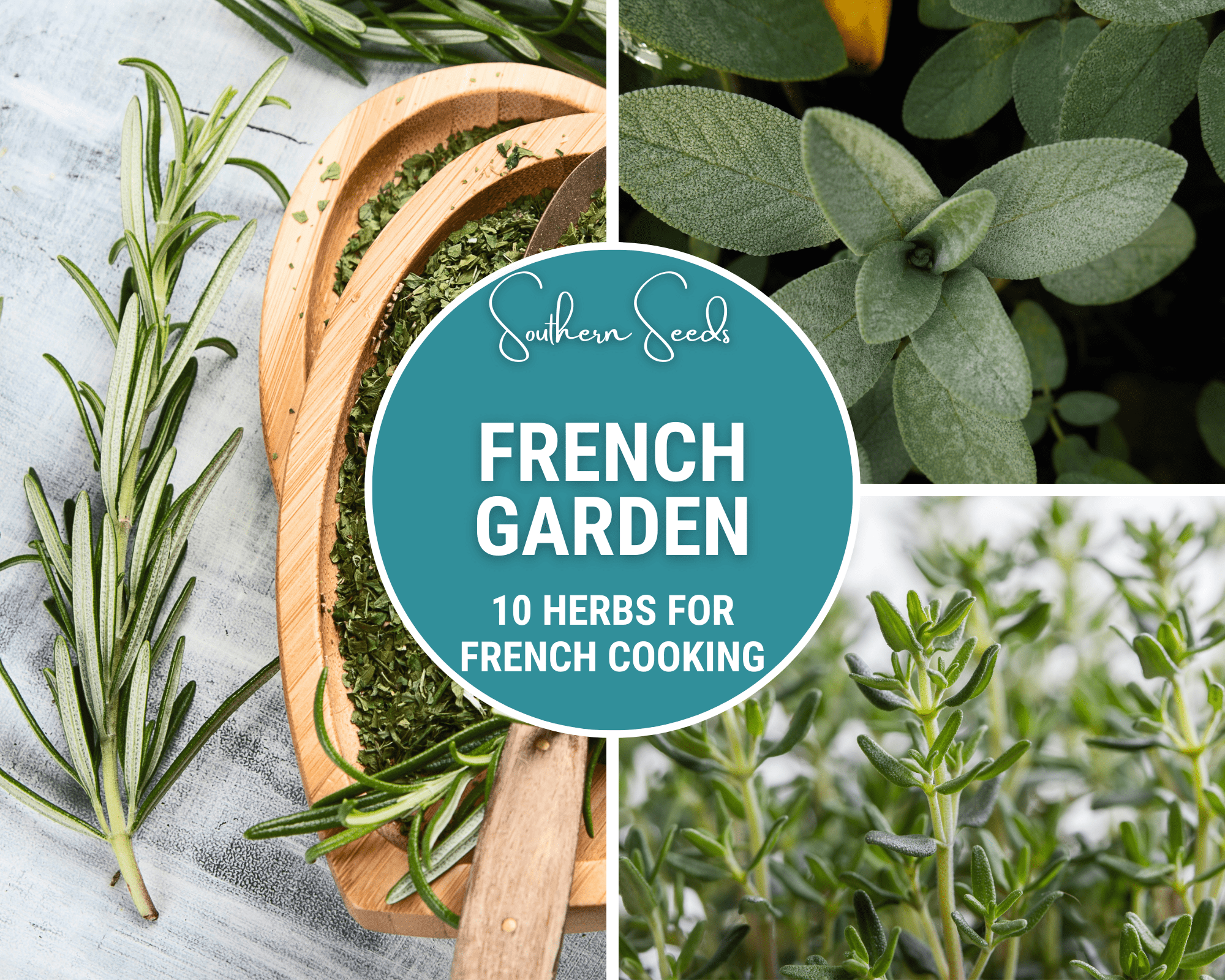 French Garden Seed Collection – 10 Varieties | Seeds | Wiccan Center