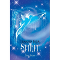Lessons from Spirit - Paperback | Books | Wiccan Center