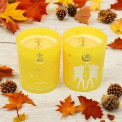 Zodiac Soy Votive Candle | Candle | Wiccan Center