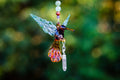 Tan and Green Hummingbird with Keepsake Vial