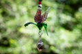 Green and Red Hummingbird with Keepsake Pendant