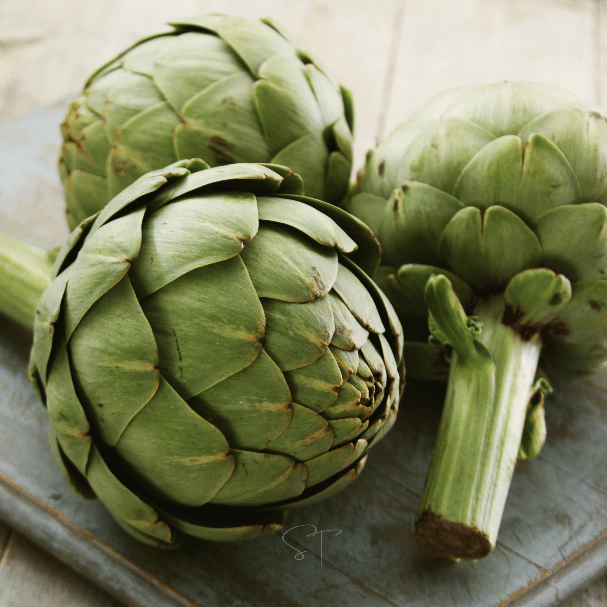 Green Globe Artichoke – 25 Seeds | Seeds | Wiccan Center