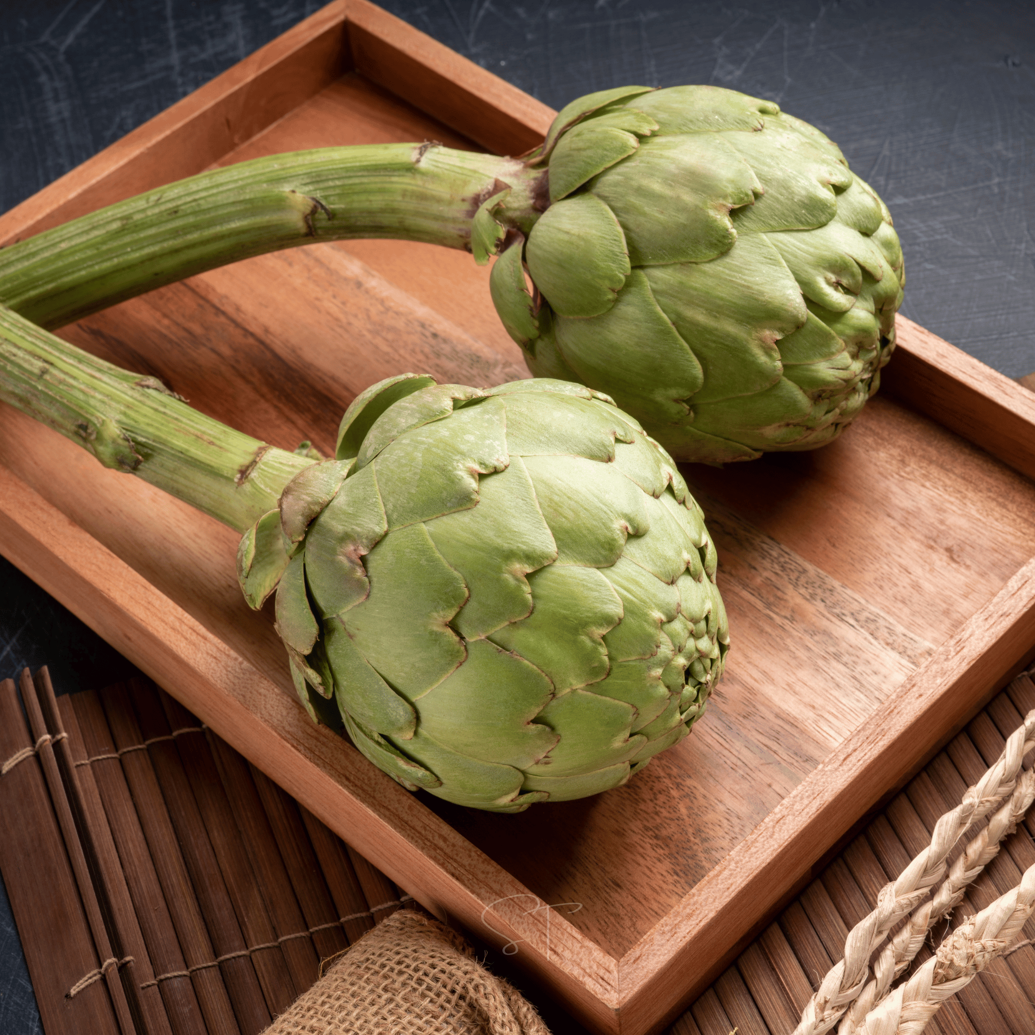 Green Globe Artichoke – 25 Seeds | Seeds | Wiccan Center