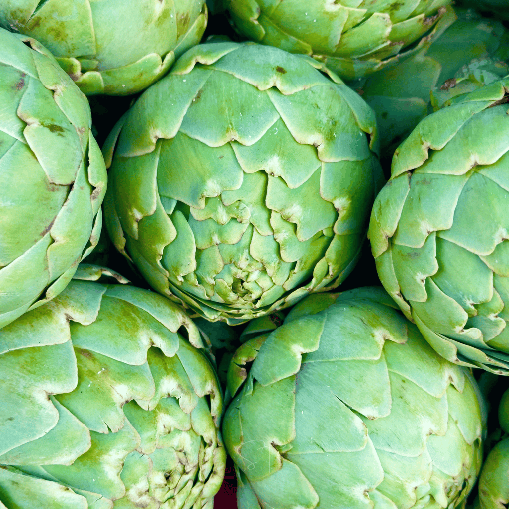 Green Globe Artichoke – 25 Seeds | Seeds | Wiccan Center