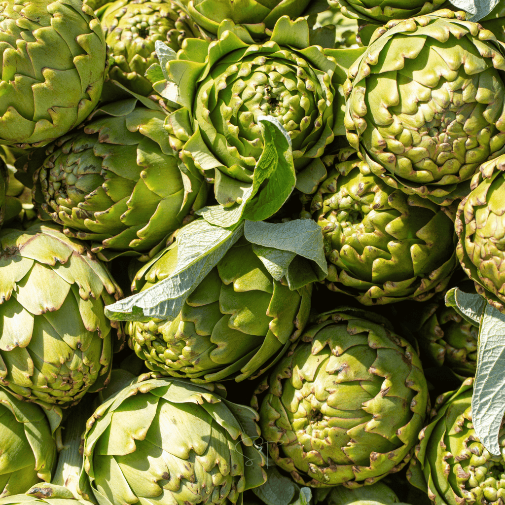 Green Globe Artichoke – 25 Seeds | Seeds | Wiccan Center
