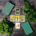 Green Glyphs Tarot | Deck | Wiccan Center