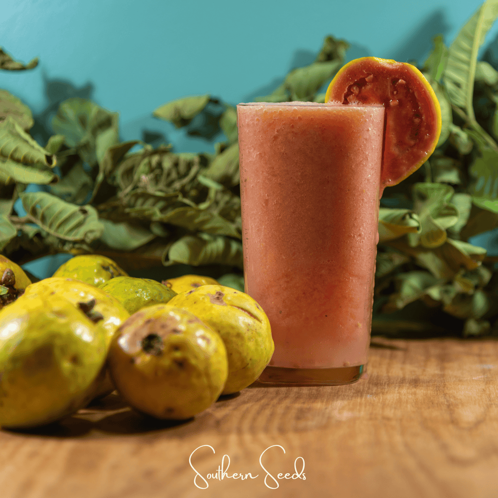 Guava – 25 Seeds | Seeds | Wiccan Center