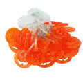 Halloween 30 LED String Lights | Seasonal Decor | Wiccan Center
