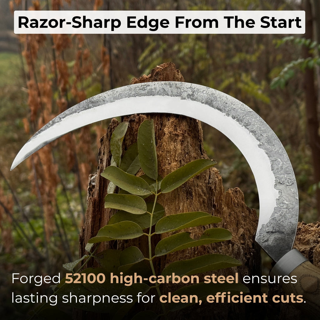 Hand-Forged Large Sickle, ⌀19 cm (7.5 inches) | Sickle | Wiccan Center